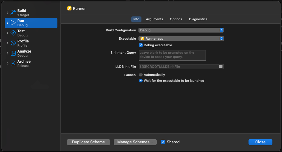 Screenshot of Edit Scheme page and Launch options